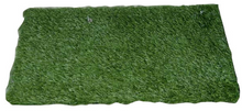 Load image into Gallery viewer, Indoor Grass
