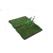 Load image into Gallery viewer, Indoor Grass
