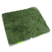 Load image into Gallery viewer, Indoor Grass
