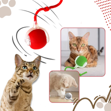 Load image into Gallery viewer, Smart Interactive Cats Ball Toy
