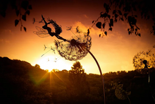 Load image into Gallery viewer, Perfect Wonderland Garden Decoration -The naughty Spirits Are Dancing
