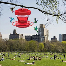 Load image into Gallery viewer, Hanging Bee Proof Hummingbird Water Feeders with Perch
