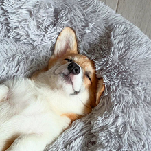 Load image into Gallery viewer, Calming Dog Bed
