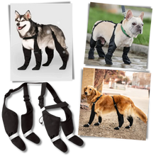 Load image into Gallery viewer, Waterproof Dog Suspenders Boots
