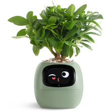 Load image into Gallery viewer, Smart Plant Pot Ivy - Innovative Plant Care
