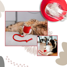 Load image into Gallery viewer, Smart Interactive Cats Ball Toy
