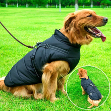 Load image into Gallery viewer, Waterproof Winter Dog Jacket - Sherpa-Fleece Lined - Built-in Harness
