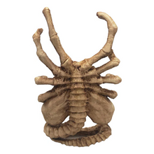 Load image into Gallery viewer, Horrible Facehugger Phone Holder
