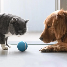 Load image into Gallery viewer, Magic Ball Pet Motion Toy
