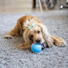 Load image into Gallery viewer, Magic Ball Pet Motion Toy
