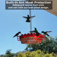 Load image into Gallery viewer, Ant-Proof Hummingbird Feeder with 30 Bee-Resistant Ports
