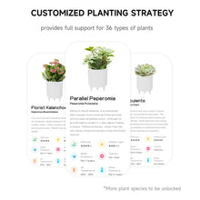 Load image into Gallery viewer, Smart Plant Pot Ivy - Innovative Plant Care
