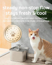 Load image into Gallery viewer, Stainless Steel Cat Water Fountain
