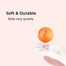 Load image into Gallery viewer, Pet Ball (Special Edition)
