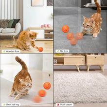 Load image into Gallery viewer, Pet Ball (Special Edition)
