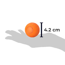 Load image into Gallery viewer, Pet Ball (Special Edition)
